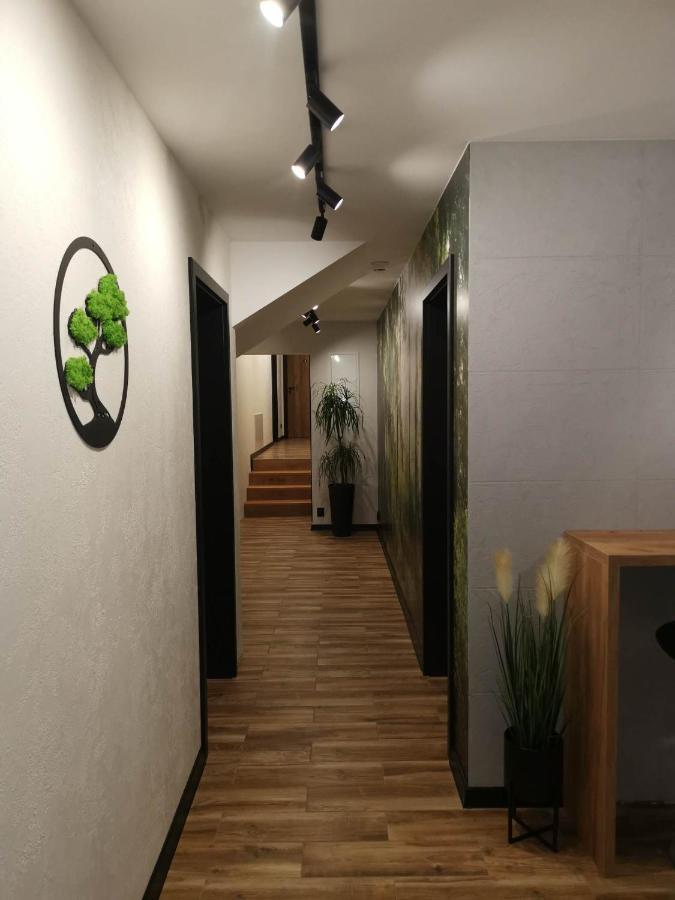 Witów Apartament Skorusinka W Poblizu Chocholowskich Term المظهر الخارجي الصورة
