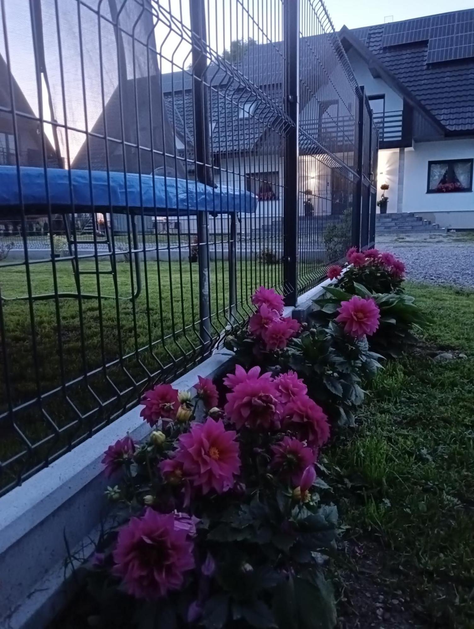 Witów Apartament Skorusinka W Poblizu Chocholowskich Term المظهر الخارجي الصورة